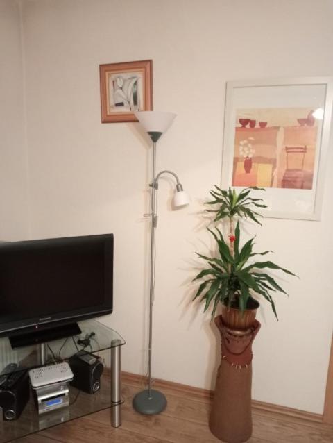 Apartament Stroma 4 Zakopane Esterno foto